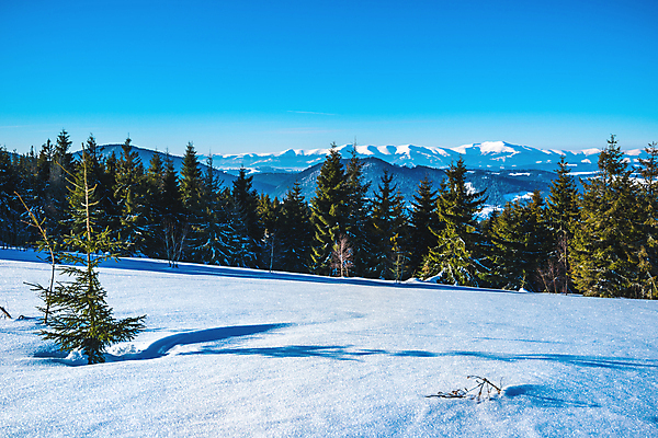 포토 JPG 해외이미지 나무 계절 유럽 여행 겨울 자연 하늘 날씨 휴가 스키 산 파노라마 경사 사람없음 야외 파란색 환경 냉동 얼음 하이킹 추위 흰색 시골 숲 서리 층 반대 내추럴 산악지대 절정 폭설 눈내림 가문비나무 해외포토 자연요소 식물 나라 컬러 레저 겨울스포츠 눈_날씨 촬영기법 자연재해 생태계 파일형식 이미지허브