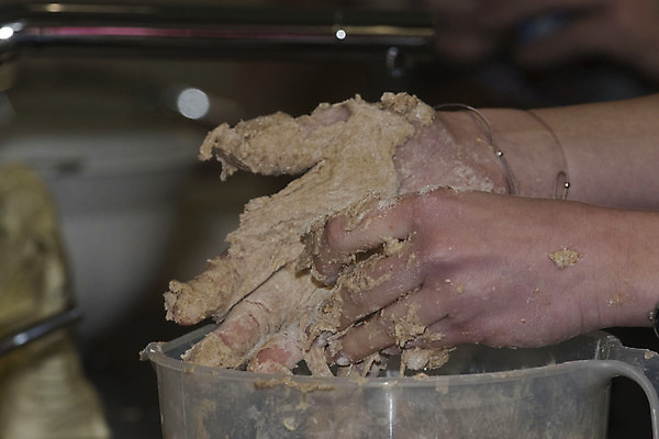 포토 JPG 해외이미지 음식 빵 건강 요리 사람없음 요식업 식사 빵집 굽기 먹기 메뉴 잔치 반죽 덩어리 제비 토막 법정 영양소 공급 해외포토 산업 모션 조류 상점 구이 파일형식 이미지허브
