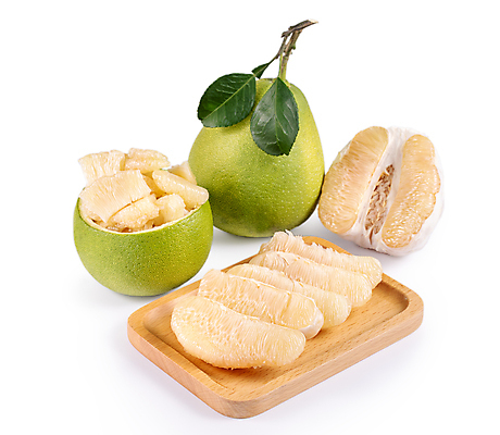 포토 JPG 해외이미지 잎 과일 사람없음 연두색 담기 포멜로 해외포토 식물 모션 초록색 파일형식 이미지허브