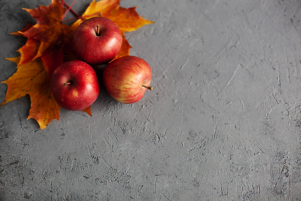 포토 JPG 해외이미지 단풍 낙엽 과일 회색배경 실내 사람없음 세개 사과 카피스페이스 해외포토 백그라운드 잎 3 내부 공백 회색 파일형식 이미지허브
