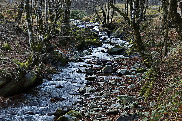 포토 JPG 해외이미지 나무 유럽 여행 백그라운드 낙엽 잎 모션 자연 벽지 산 이끼 풍경 사람없음 야외 목재 초록색 물 파란색 강 장미 환경 맑음 침묵 거품 하이킹 흐름 가을 바위 흰색 개울 떨어짐 숲 큼 타운 내추럴 넘어짐 발칸반도 불가리아 생태학 해외포토 자연요소 식물 계절 교육 꽃 나라 컬러 컨셉 재료 레저 날씨 소리 돌_바위 도시 크기 생태계 파일형식 남유럽 이미지허브