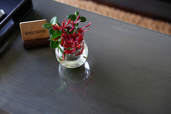 포토 JPG 해외이미지 디자인 꽃 음식 결혼 백그라운드 컨셉 비즈니스 텍스트 자연 탁자 선인장 주택 따뜻함 사람없음 목재 장식 빛 쇼핑 파티 라벨 상점 식당 식사 저녁식사 카페 추위 정보 수확 흰색 축하 메시지 고급 우아함 쇼핑몰 서비스 사인 환영 예약 설정 고립 전용 해외포토 나무 식물 컬러 가구 농업 재료 프레임 이벤트 건물 생태계 파일형식 이미지허브