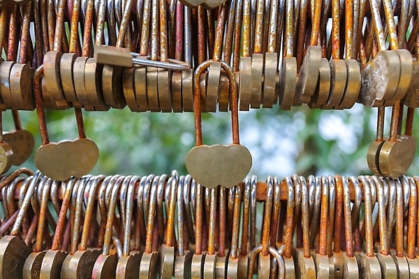 포토 JPG 해외이미지 커플 행복 문화 상징 백그라운드 자물쇠 사랑 사람없음 금속 하트 황금 물개 다발 사물함 오브젝트 부식 잠금 약혼 판화 철강 많음 해외포토 모양 감정 결혼 컨셉 포유류 관계 재질 미술 바다동물 약속 보안 파일형식 이미지허브