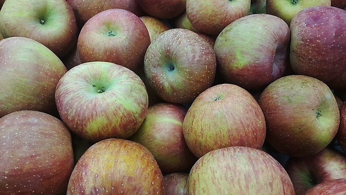 포토 JPG 해외이미지 잡화 계절 백그라운드 농업 다이어트 과일 디저트 건강 요리 사람없음 초록색 상점 식당 수확 신선 양념 상품 유기농 원예 흙더미 슈퍼마켓 내추럴 고립 채식주의자 많음 해외포토 웰빙 산업 음식 컬러 컨셉 취미 흙 채식 파일형식 더미 이미지허브