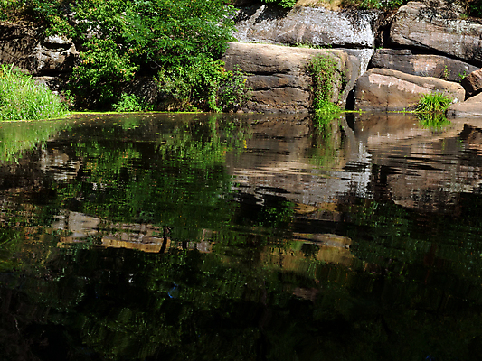 포토 JPG 해외이미지 나무 유럽 여행 잎 자연 휴가 산 사람없음 야외 초록색 물 강 햇빛 평화 환경 골짜기 맑음 젖음 흐름 신선 개울 숲 우크라이나 전국 해외포토 자연요소 식물 나라 컬러 컨셉 날씨 태양 생태계 파일형식 이미지허브