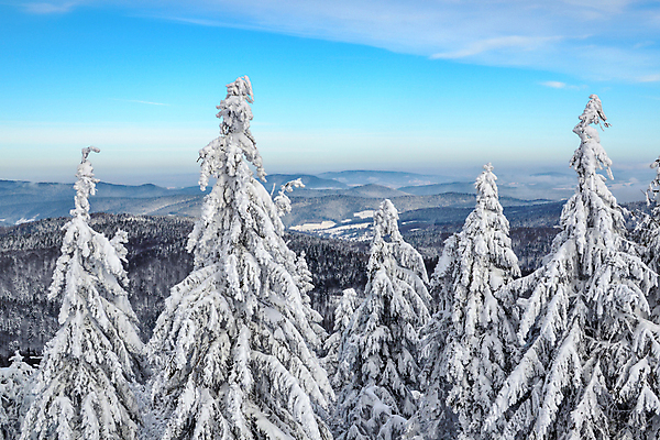 포토 JPG 해외이미지 나무 구름 계절 유럽 여행 백그라운드 크리스마스 겨울 자연 스키 산 파노라마 풍경 사람없음 야외 목재 파란색 냉동 얼음 놀람 추위 탐험 숲 즐거움 폴란드 슬로바키아 웅장함 눈내림 가문비나무 환상 해외포토 자연요소 식물 기념일 감정 나라 컬러 컨셉 재료 겨울스포츠 눈_날씨 촬영기법 표정 생태계 파일형식 이미지허브