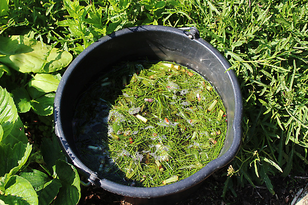 포토 JPG 해외이미지 농업 채소 자연 사람없음 정원 성장 양동이 유기농 원예 거름 밭일 해외포토 웰빙 산업 취미 생태계 파일형식 이미지허브