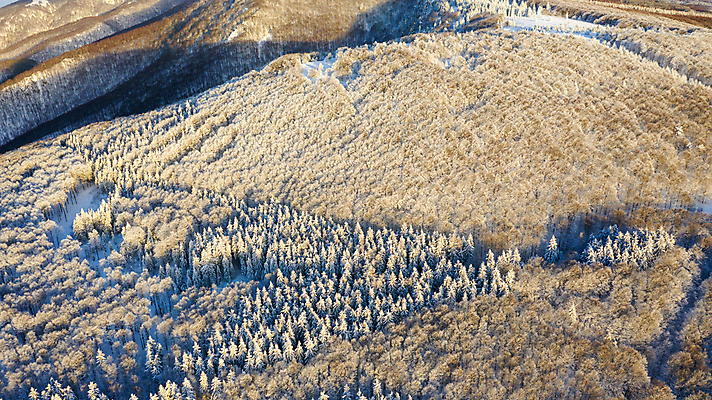 포토 JPG 해외이미지 나무 계절 도로 여행 백그라운드 크리스마스 겨울 자연 벽지 날씨 휴가 산 안테나 사람없음 야외 목재 빛 뷰티 평화 냉동 얼음 추위 흰색 나뭇가지 시골 정상 숲 12월 질감 서리 장면 1월 내추럴 넘어짐 드론 폭설 눈내림 해외포토 자연요소 식물 기념일 길 컬러 컨셉 재료 통신 교통시설 모션 눈_날씨 날짜 자연재해 생태계 파일형식 이미지허브