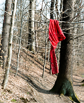 포토 JPG 해외이미지 컨셉 자연 매달리기 풍경 사람없음 목재 장식 빨간색 목도리 희망 침묵 직물 숲 순수 해외포토 나무 잡화 감정 컬러 재료 모션 소리 생태계 파일형식 이미지허브