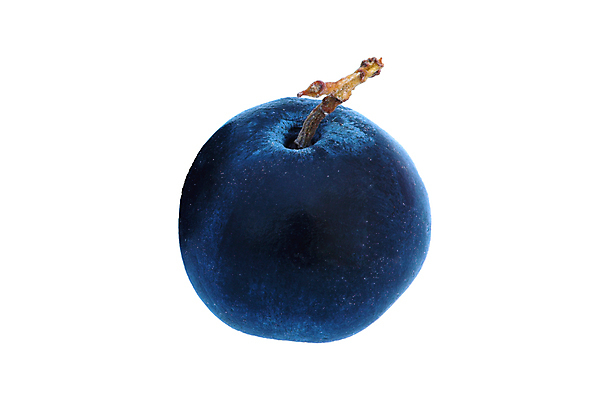 포토 JPG 해외이미지 스튜디오촬영 1 열매 음료 음식 백그라운드 농업 다이어트 채소 과일 재료 디저트 사람없음 가로 파란색 농작물 보라색 흰색 신선 닫기 달콤 맛 작음 자르기 오브젝트 싱글 흰배경 유기농 블루베리 날것 고립 숙성 채식주의자 해외포토 식물 웰빙 산업 컬러 컨셉 모션 실내 건강 크기 채식 파일형식 이미지허브