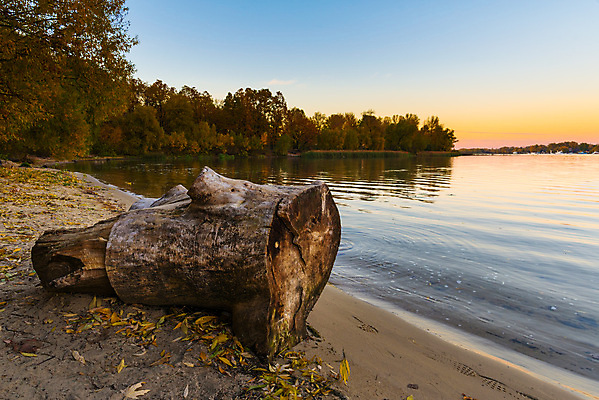 포토 JPG 해외이미지 나무 식물 파도 잎 자연 하늘 표면 파노라마 사람없음 목재 물 강 반사 노란색 황혼 젖음 액체 야간 저녁 내추럴 옛날 우크라이나 해외포토 자연요소 유럽 바다 컬러 재료 촬영기법 일몰 생태계 파일형식 이미지허브