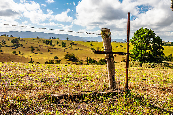 포토 JPG 해외이미지 나무 구름 계절 도로 여행 백그라운드 밭 농업 자연 하늘 불 휴가 건조 풍경 사람없음 야외 가로 초록색 여름 파란색 울타리 태양 농장 농경지 환경 목장 시골 재산 호주 숲 땅 언덕 장면 멀리 밭일 오지 수평선 해외포토 자연요소 식물 산업 길 컬러 교통시설 금융 담장 오세아니아 생태계 파일형식 이미지허브