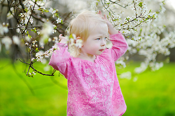 포토 JPG 해외이미지 나무 라이프스타일 드레스 공원 꽃 행복 어린이 백그라운드 과일 자연 놀이 부활절 웃음 야외 두명 초록색 유행 정원 봄 벚꽃 흰색 나뭇가지 신선 개화 체리 달콤 사과 원예 걸음마 파스텔톤 해외포토 식물 옷 계절 공공시설 기념일 감정 컬러 모션 표정 사람 취미 생활 맛 생태계 파일형식 이미지허브
