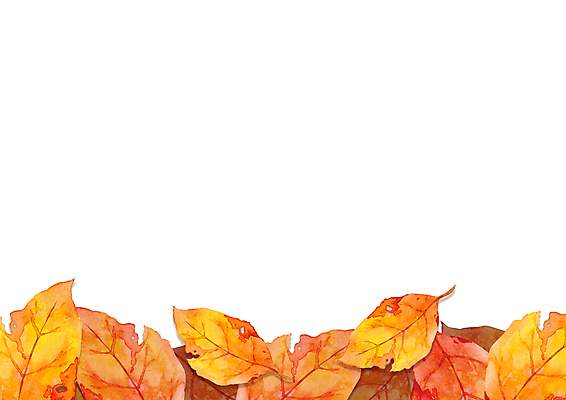 JPG 해외이미지 식물 단풍 잎 일러스트 붓터치 사람없음 그림 번짐 해외일러스트 파일형식 효과 이미지허브