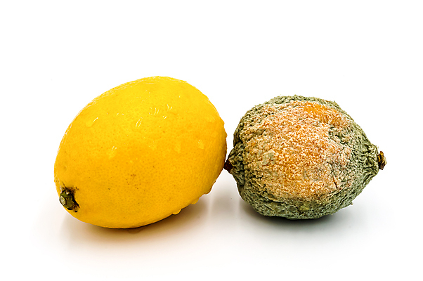 포토 JPG 해외이미지 음식 백그라운드 농업 다이어트 과일 자연 건강 사람없음 초록색 노란색 손상 흰색 신선 지중해 먹기 레몬 레모네이드 흰배경 에코 유기농 질감 라임 반대 낭비 내추럴 나쁜 고립 썩음 영양분 옛날 이국적 해로움 해외포토 웰빙 산업 바다 컬러 컨셉 모션 환경 생태계 에이드 파일형식 이미지허브