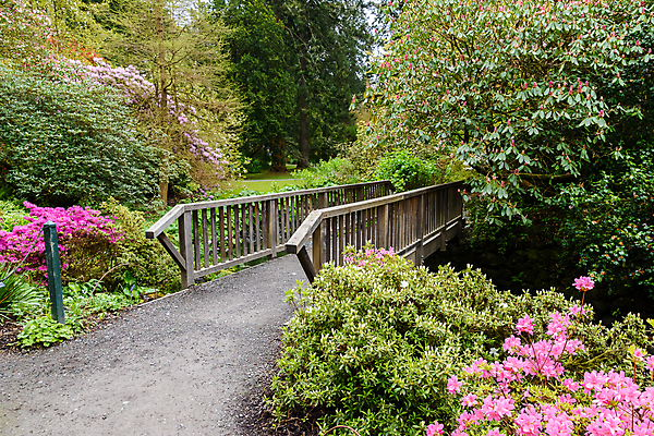 포토 JPG 해외이미지 나무 공원 길 자국 자연 풍경 사람없음 야외 목재 초록색 물 여름 봄 산책 하이킹 시골 숲 내추럴 양발 철책 해외포토 자연요소 식물 계절 공공시설 컬러 재료 레저 휴식 생태계 파일형식 이미지허브