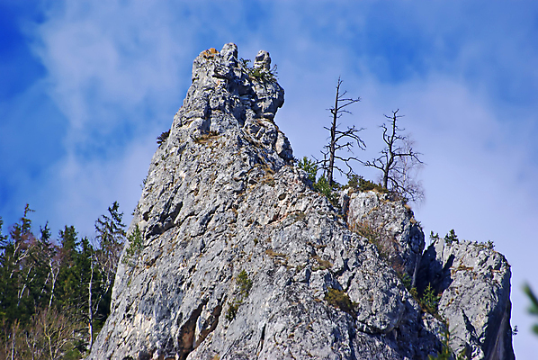 포토 JPG 해외이미지 나무 식물 구름 실루엣 백그라운드 자연 하늘 산 건조 이끼 풍경 경사 사람없음 초록색 여름 파란색 검은색 사막 죽음 소나무 뜨거움 정상 숲 망토 땅 돌산 언덕 먼지 장면 침엽수 땅바닥 해외포토 자연요소 계절 컬러 바닥 촬영기법 생태계 파일형식 이미지허브