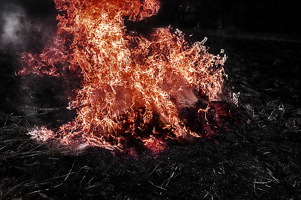 포토 JPG 해외이미지 나무 단풍 불 사람없음 야외 가을풍경 루마니아 해외포토 자연요소 식물 유럽 잎 풍경 파일형식 가을_계절 이미지허브