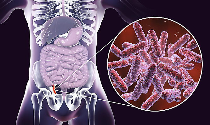 포토 JPG 해외이미지 남자 과학 컨셉 신체 일러스트 해부 골격 건강 사람 사람없음 내부 치료 약 3D 고통 수술 오르간 질병 생물학 미생물 시스템 외과 박테리아 삭제 돌봄 복근 염증 증상 해외일러스트 교육 감정 의학 모션 근육 생물 병원 건반악기 디지털합성 파일형식 이미지허브