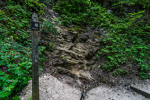 포토 JPG 해외이미지 유럽 길 야생동물 여행 자연 휴가 산 이끼 사람없음 야외 물 강 환경 골짜기 폭포 산책로 하이킹 흐름 안개 시골 개울 황무지 보호 숲 알프스 지역 바이에른 해외포토 자연요소 동물 나라 컨셉 레저 날씨 독일 생태계 파일형식 이미지허브