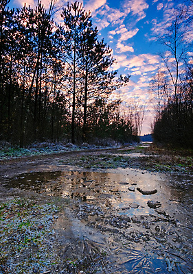 포토 JPG 해외이미지 나무 구름 계절 공원 호수 여행 백그라운드 겨울 자연 하늘 표면 날씨 풍경 사람없음 야외 목재 파란색 빛 햇빛 태양 환경 냉동 얼음 일몰 추위 흰색 균열 매끈함 저녁 네덜란드 질감 장면 내추럴 환상 수평선 겨울풍경 해외포토 자연요소 식물 공공시설 유럽 컬러 컨셉 재료 모션 노을 감각 야간 생태계 파일형식 이미지허브