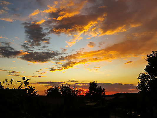 포토 JPG 해외이미지 나무 구름 실루엣 여행 백그라운드 오렌지 자연 하늘 휴가 파노라마 풍경 사람없음 야외 여름 빛 세트 컬러풀 햇빛 태양 뷰티 노란색 일출 환경 어둠 황혼 일몰 새벽 황금 저녁 장면 내추럴 수평선 해외포토 자연요소 식물 계절 컬러 과일 촬영기법 노을 야간 생태계 파일형식 이미지허브