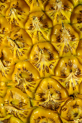 포토 JPG 해외이미지 디자인 백그라운드 패턴 과일 표면 추상 사람없음 노란색 페인트 얼룩 거친 피부 묘사 파인애플 질감 층 한조각 엘리먼트 이국적 해외포토 1 컬러 무늬 신체부위 열대과일 파일형식 이미지허브