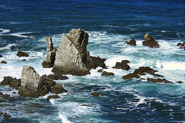 포토 JPG 해외이미지 유럽 야생동물 바다 섬 여행 자연 휴식 건강 사람없음 여행객 환경 침묵 다양 스페인 생태계 서식지 내추럴 보호구역 생태학 해외포토 동물 교육 나라 다수 컨셉 사람 소리 구역 파일형식 이미지허브
