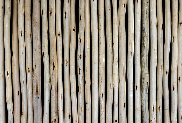 포토 JPG 해외이미지 나무 식물 선 벽 백그라운드 자연 추상 사람없음 목재 장식 울타리 갈색 쌓기 흰색 나뭇가지 막대기 유기농 질감 나무껍질 내추럴 고립 수목 엘리먼트 옛날 직진 해외포토 웰빙 컬러 무늬 재료 모션 담장 껍질 생태계 파일형식 이미지허브