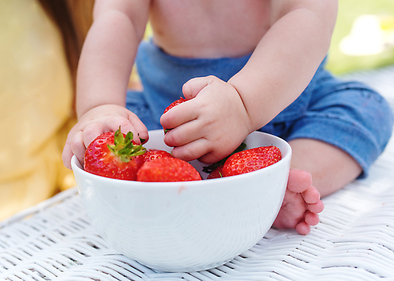 포토 JPG 해외이미지 손 열매 어린이 음식 다이어트 과일 딸기 건강 관리 사람 소년 사람없음 빨간색 여름 소풍 주방 샐러드 흰색 아기 신선 잡기 사발 먹기 걸음마 채식주의자 해외포토 식물 계절 남자 컬러 모션 신체부위 야외활동 사기그릇 채식 파일형식 이미지허브