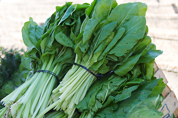 포토 JPG 해외이미지 식물 음식 농업 채소 과일 자연 거리 건강 사람없음 초록색 컬러풀 여행객 상점 신선 시장 농부 유기농 날것 소매 공평 내추럴 채식주의자 비건 해외포토 직업 웰빙 산업 컬러 사람 생태계 채식 파일형식 이미지허브