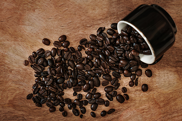 포토 JPG 해외이미지 전통 라이프스타일 음료 음식 백그라운드 탁자 아침 휴식 콩 실내 씨앗 사람 사람없음 목재 컵 갈색 검은색 어둠 머그컵 원두 수확 시골 신선 바 뜨거움 맛 아침식사 낟알 굽기 상쾌 질감 복고 아로마 개성 에스프레소 연소 따뜻한음료 아랍어 옛날 카페인 스타일 해외포토 주간 나무 식물 식기 감정 커피 컬러 가구 컨셉 농업 재료 곡류 내부 생활 식사 구이 파일형식 이미지허브