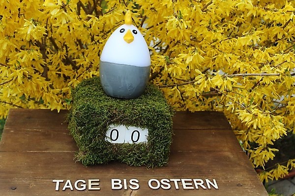 포토 JPG 해외이미지 부활절 이끼 사람없음 장식 숫자 정원 치킨 봄 달력 벚꽃 4월 카운트다운 해외포토 문자 계절 기념일 꽃 날짜 닭고기요리 파일형식 이미지허브