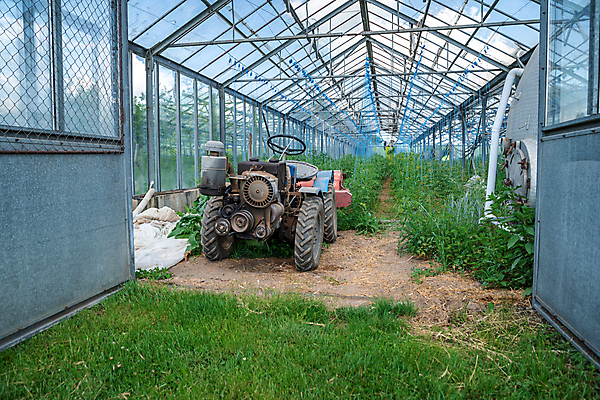 포토 JPG 해외이미지 식물 산업 음식 잎 밭 농업 채소 자연 유리 건강 사람없음 초록색 빛 농작물 농장 정원 봄 수확 성장 신선 허브 유기농 원예 날것 광합성 모종 밭일 온실 줄서기 그리너리 세련 해외포토 웰빙 계절 컬러 모션 재질 취미 생태계 파일형식 트랜드컬러 이미지허브
