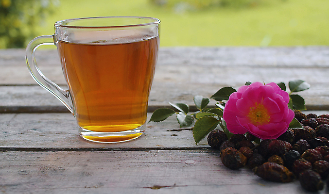 포토 JPG 해외이미지 전통 열매 꽃 음료 자연 유리 건강 사람없음 야외 목재 치료 컵 약 정원 신선 뜨거움 투명 닫기 허브 테라피 내추럴 돌봄 해외포토 나무 식물 식기 재료 의학 모션 재질 뷰티 생태계 파일형식 이미지허브