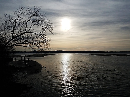 포토 JPG 해외이미지 나무 별 자연 조류 하늘 비행기 사람없음 야외 강 태양 반사 일출 일몰 대패 해외포토 자연요소 식물 동물 항공교통 대중교통 노을 생태계 파일형식 이미지허브