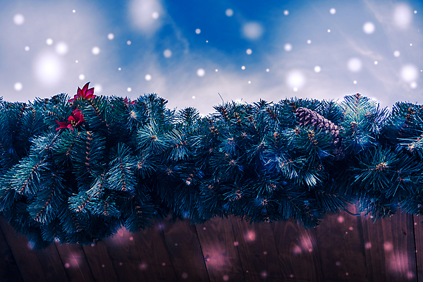 포토 JPG 해외이미지 식물 꽃잎 꽃 조각 꽃다발 크리스마스 꽃무늬 자연 하늘 휴가 주택 선물 사람없음 장식 초록색 축제 견과류 축하 저녁 12월 꽃집 오브젝트 전나무 원뿔 폭설 해외포토 도형 나무 기념일 컬러 컨셉 무늬 눈_날씨 건물 상점 날짜 야간 자연재해 생태계 파일형식 이미지허브
