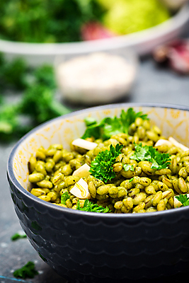 포토 JPG 해외이미지 식물 접시 음식 백그라운드 잎 다이어트 채소 재료 부분 건강 요리 씨앗 사람없음 초록색 컬러풀 식사 샐러드 신선 사발 아침식사 브로콜리 낟알 먹기 메밀 유기농 양배추 날것 시금치 점심식사 리조또 채식주의자 케일 퀴노아 비건 비건음식 해외포토 식기 웰빙 컬러 식재료 모션 곡류 사기그릇 채식 파일형식 이미지허브