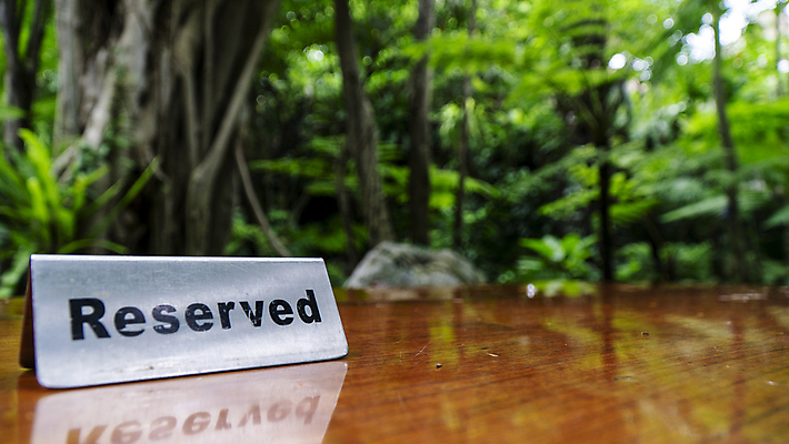 포토 JPG 해외이미지 나무 라이프스타일 접시 음식 컨셉 크리스마스 비즈니스 텍스트 탁자 서기 이벤트 사람없음 목재 세트 파티 식당 축제 식사 저녁식사 카페 정보 흰색 축하 신용카드 발표 메시지 우아함 은색 숲 오브젝트 서비스 사인 준비 예약 설정 전용 해외포토 식물 식기 기념일 컬러 가구 재료 모션 생활 금융 상점 파일형식 이미지허브