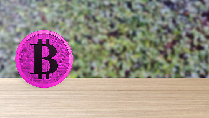 포토 JPG 해외이미지 아이콘 분홍색 컨셉 잎 돈 인터넷 비즈니스 탁자 사람없음 목재 금융 경제 3D 금속 디지털 동전 웹 성장 네트워크 시장 황금 암호 구매 위험 발굴 심볼 사인 무역 순환 상업 만들기 전자 토막 해킹 해커 경영 가상 가상화폐 해외포토 나무 식물 산업 컬러 가구 재료 모션 재질 쇼핑 범죄 재산 디지털합성 파일형식 이미지허브