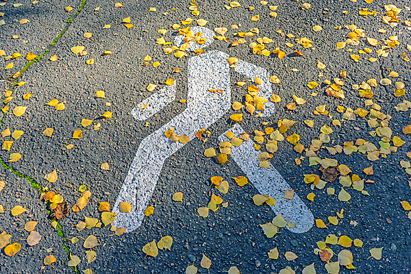 포토 JPG 해외이미지 라이프스타일 계절 도로 길 백그라운드 이동 잎 무늬 오렌지 일러스트 표면 거리 건조 그림자 경고 사람 사람없음 야외 노란색 페인트 산책 흰색 도시 거친 보행자 횡단보도 떨어짐 방향 심볼 사인 그림 질감 도로표지판 10월 그만 땅바닥 주목 충고 해외일러스트 식물 컬러 컨셉 과일 교통시설 휴식 바닥 생활 표지판 날짜 보행로 파일형식 이미지허브