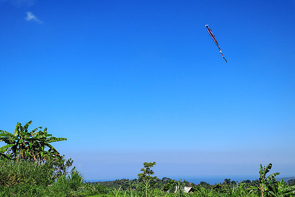 포토 JPG 해외이미지 줄 스포츠 여행 백그라운드 하늘 바람 휴가 취미 사람없음 야외 빨간색 파란색 컬러풀 장난감 햇빛 태양 맑음 검은색 축제 봄 자유 깃발 변화 연 속도 싱글 꼬리 결정체 모음 러시아인 해외포토 자연요소 서양인 계절 컬러 컨셉 날씨 한글 놀이용품 파일형식 이미지허브