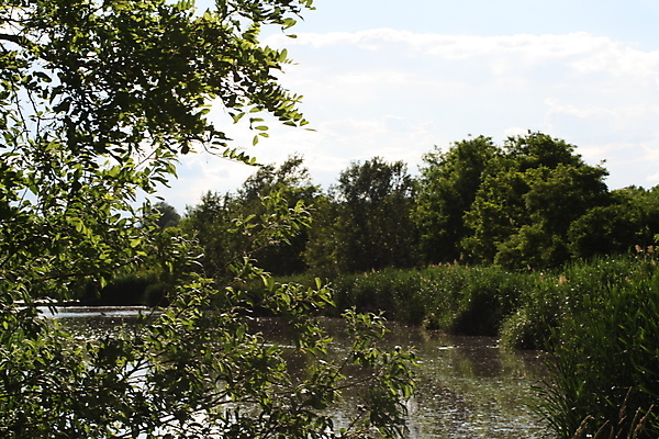 포토 JPG 해외이미지 나무 식물 구름 1 공원 얼굴 음식 백그라운드 밭 텍스트 가족 탁자 하늘 거리 서기 사람 사람없음 야외 옆모습 초록색 물 강 사무실 유행 큼 책상 사인 온라인 경영 고립 해외포토 자연요소 공공시설 뷰포인트 컬러 가구 농업 비즈니스 관계 모션 신체부위 크기 파일형식 이미지허브