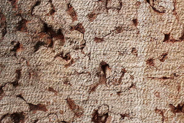 포토 JPG 해외이미지 백그라운드 패턴 표면 사람없음 장식 빨간색 바위 거친 질감 대리석 내추럴 석회암 지질학 해외포토 교육 컬러 무늬 재료 암석 돌_바위 파일형식 이미지허브