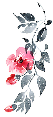 JPG 해외이미지 식물 잎 일러스트 붓터치 동양인 사람없음 뷰티 그림 번짐 해외일러스트 인종 파일형식 효과 이미지허브