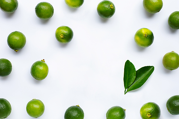 포토 JPG 해외이미지 잎 사람없음 흰배경 라임 카피스페이스 해외포토 식물 백그라운드 과일 공백 흰색 파일형식 이미지허브