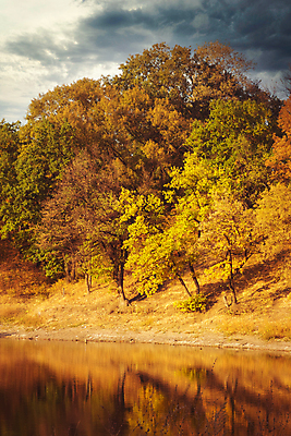 포토 JPG 해외이미지 나무 계절 공원 길 호수 여행 백그라운드 잎 오렌지 자연 하늘 그림자 사람없음 야외 목재 빨간색 초록색 물 파란색 빛 강 컬러풀 햇빛 뷰티 노란색 환경 화목 활발 나뭇가지 시골 연못 황금 숲 냄새 10월 내추럴 강렬 해외포토 자연요소 식물 공공시설 컬러 컨셉 과일 재료 태양 날짜 생태계 파일형식 이미지허브