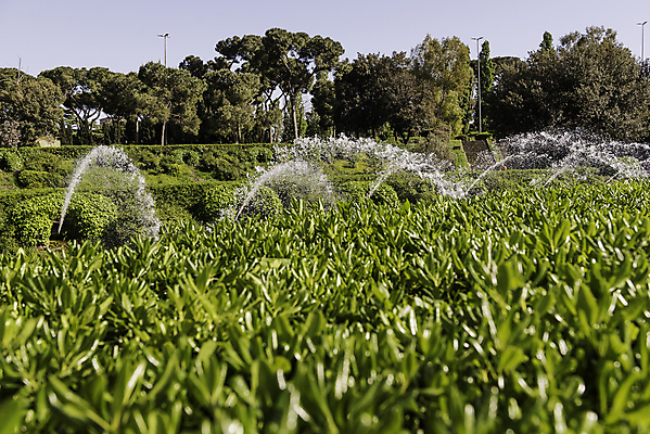 포토 JPG 해외이미지 나무 구름 계절 공원 유럽 길 호수 자연 하늘 풍경 사람없음 야외 초록색 물 도시풍경 뷰티 정원 봄 이탈리아 산책 폭포 흰색 도시 보행로 로마 타일 분수 지역 일반 대칭 인공 해외포토 자연요소 식물 공공시설 나라 컬러 휴식 생태계 파일형식 이미지허브