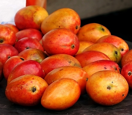 포토 JPG 해외이미지 농업 오렌지 과일 건강 사람없음 빨간색 세일 껍질 시장 달콤 매끈함 망고 숙성 해외포토 산업 컬러 감각 맛 열대과일 파일형식 이미지허브