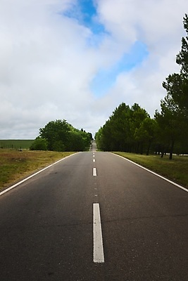 포토 JPG 해외이미지 도로 여행 곡선 교통시설 숙이기 사람없음 야외 시골 보행로 아르헨티나 루트 방법 직진 수평선 해외포토 길 선 포즈 교통 남아메리카 시설 파일형식 이미지허브